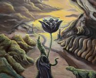 Černý tulipán - olej 50x50