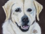 Jessinka-60x40 